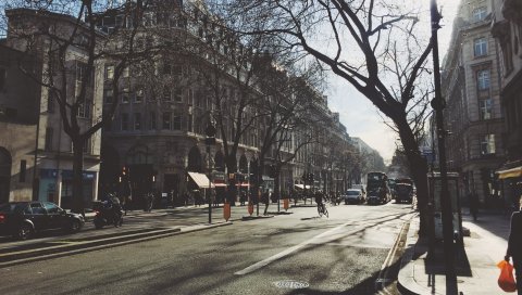 Улица, город, здание, дерево