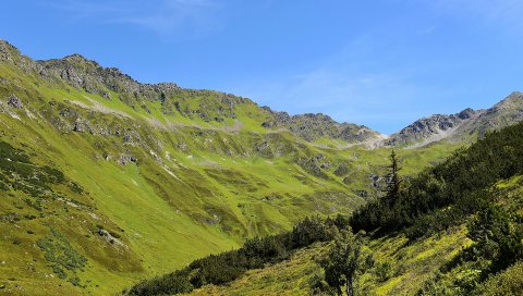 Горы, трава, тироль, панорама