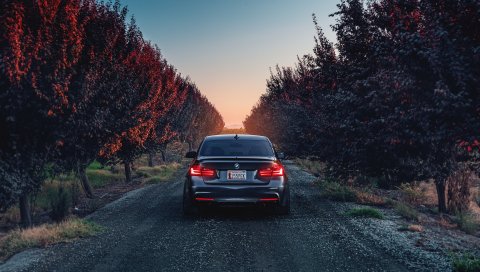 Bmw, f80, 335i, вид сзади