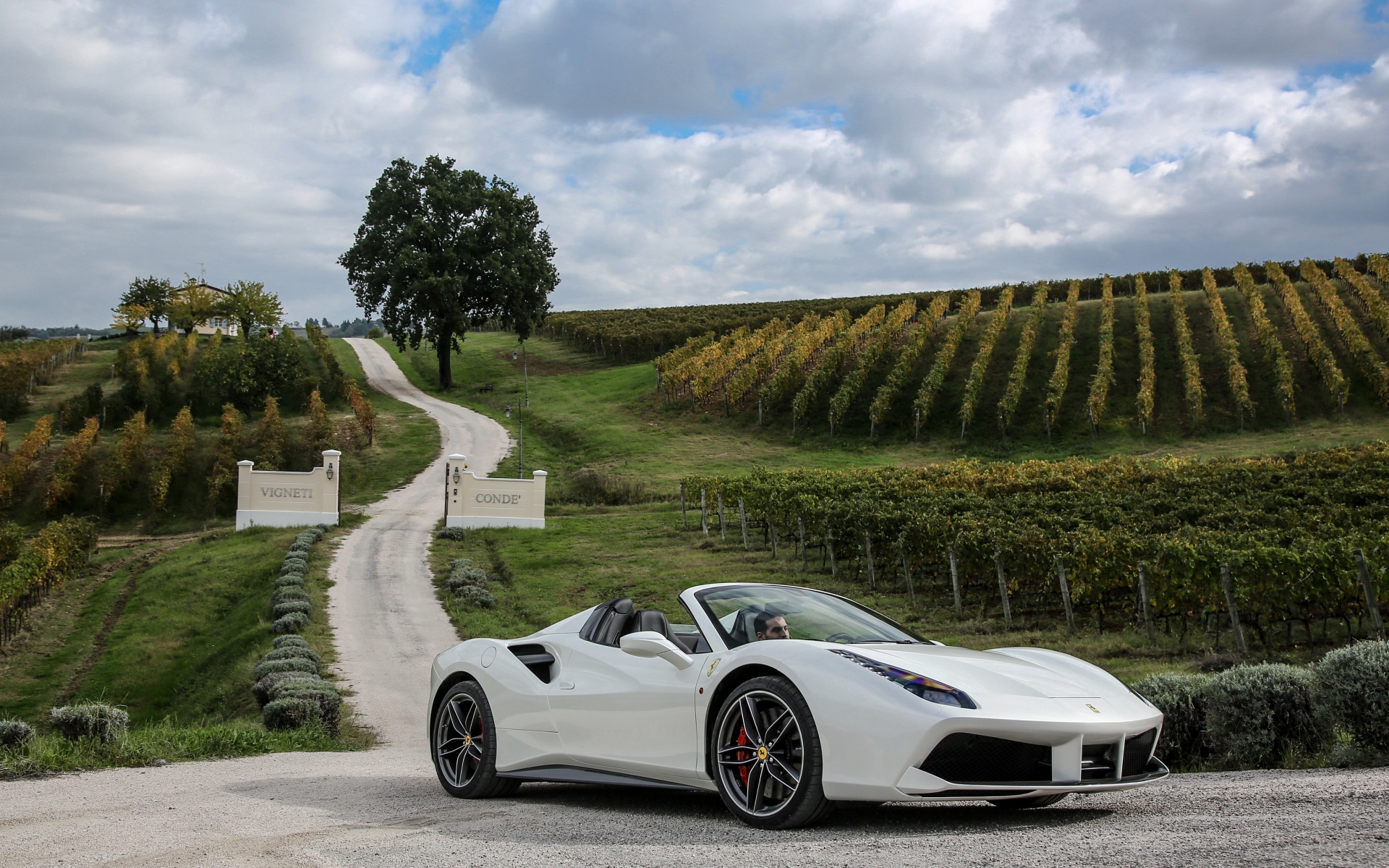 Картинки Ferrari, 488, паук, белый, вид сбоку фото и обои на рабочий стол