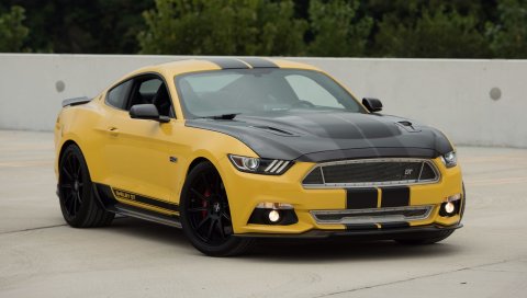 Ford mustang, shelby, gt, вид сбоку