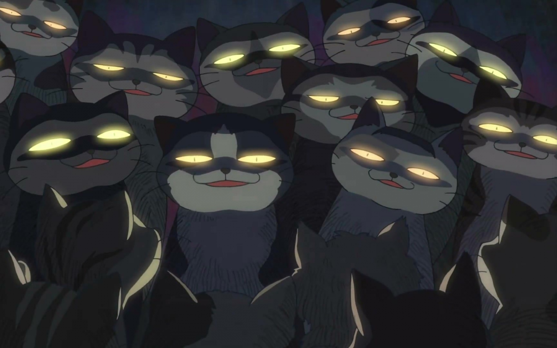 Картинки Neko no shuukai, кошки, идея фото и обои на рабочий стол