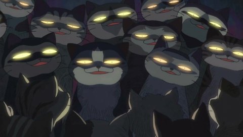Neko no shuukai, кошки, идея