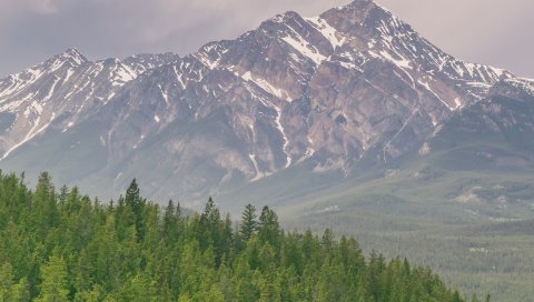 Горы, холмы, расстояние, деревья