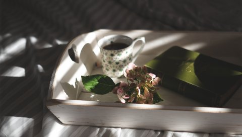 Лоток, книга, чашка, цветок, кровать, утро