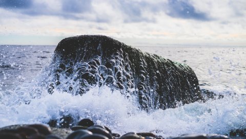 Море, волны, спрей, камни