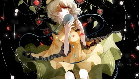 Touhou, komeiji koishi, physalis, ягоды