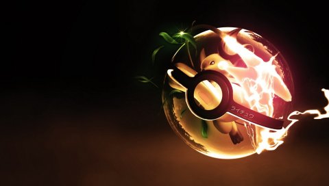 Покемон go, покемон, raichu
