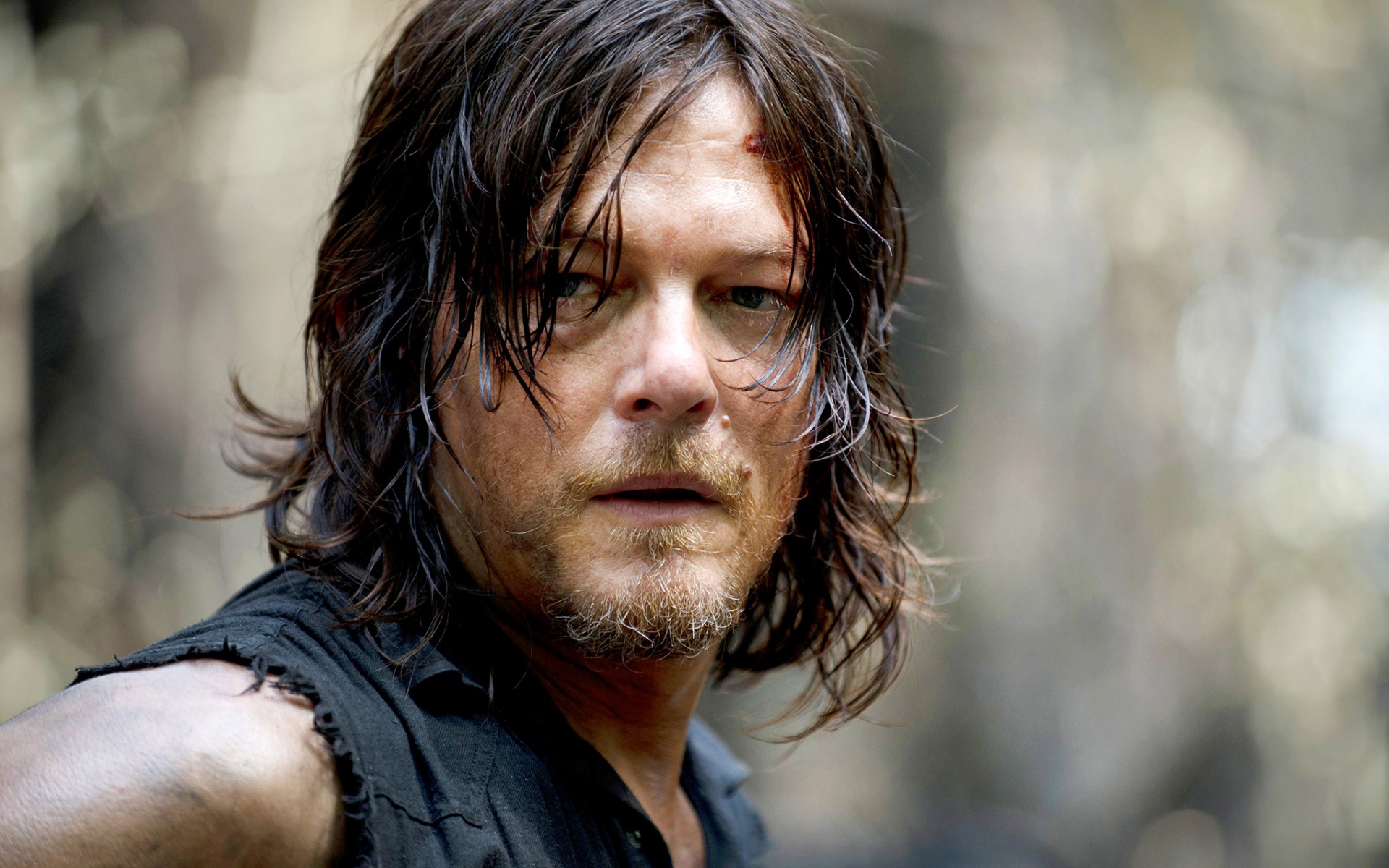 Картинки Norman reedus, актер, лицо, волосы фото и обои на рабочий стол