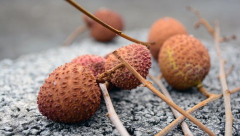 Личи, китайская слива, фрукты, экзотические