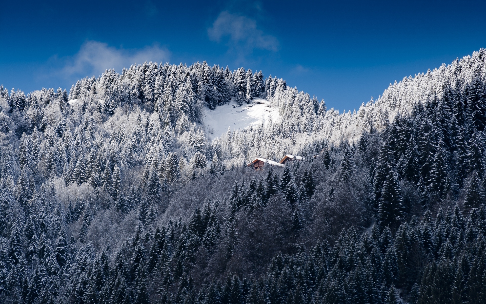 Картинки Альпы, горы, снег, деревья фото и обои на рабочий стол