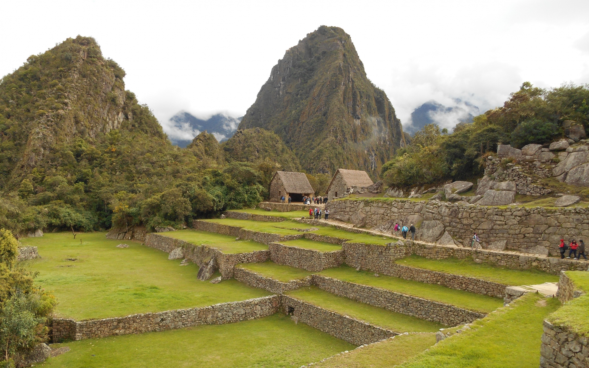 Картинки Machu picchu, перу, здания, трава фото и обои на рабочий стол