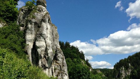 Поле, скалы, горы, трава