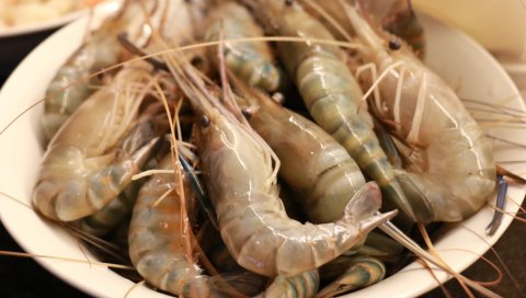 Креветки, морепродукты, сырые