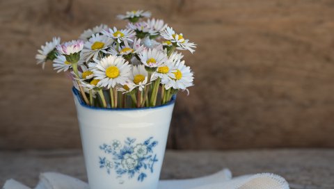 Маргаритки, вазы, салфетки
