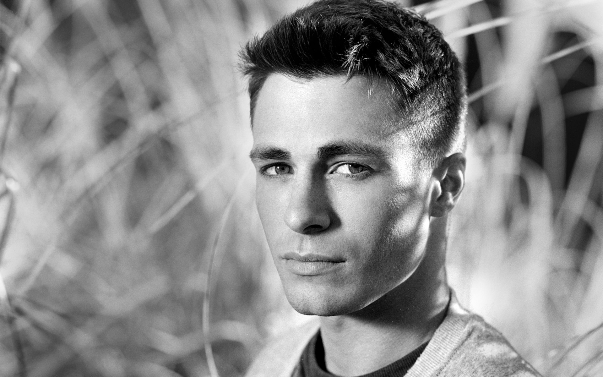 Картинки Colton haynes, актер, лицо, bw фото и обои на рабочий стол