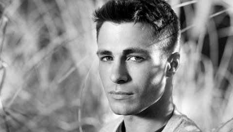 Colton haynes, актер, лицо, bw