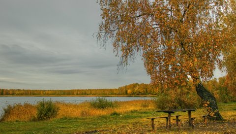 Река, осень, деревья, столы, скамейки