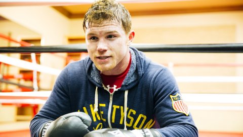 Saul alvarez, боксер, wbc, wba