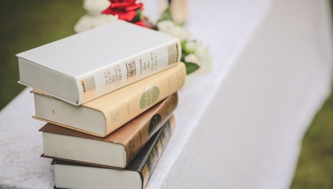 Книги, цветы, размытие