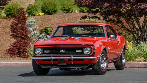 Chevrolet, copo, camaro, yenko, sc 427, красный, вид спереди