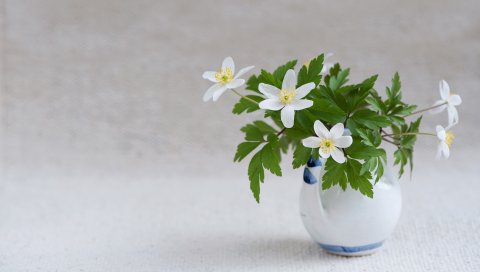 Цветы, букет, ваза