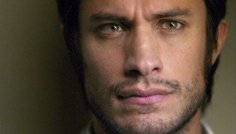 Gael garcia bernal, актер, борода, лицо