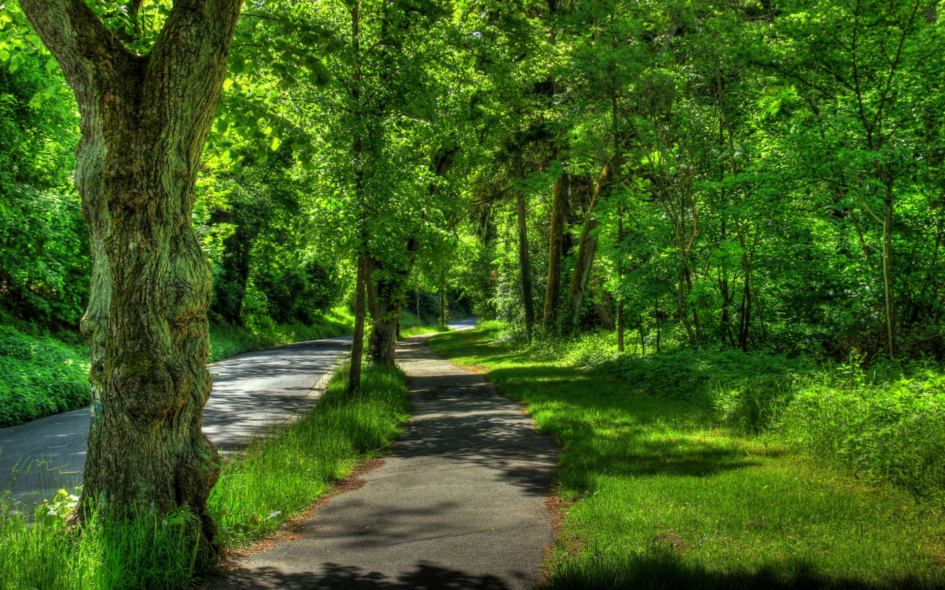 Картинки Германия, wetzlar, парк, деревья, лето, hdr фото и обои на рабочий стол