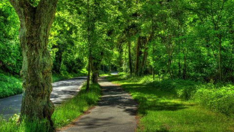Германия, wetzlar, парк, деревья, лето, hdr