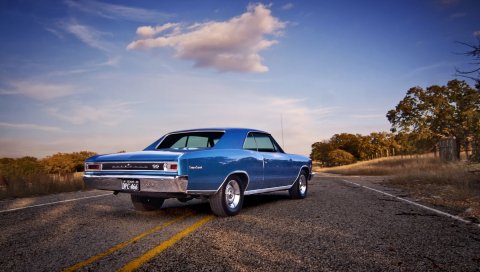 Chevrolet, chevelle, 1966, вид сзади