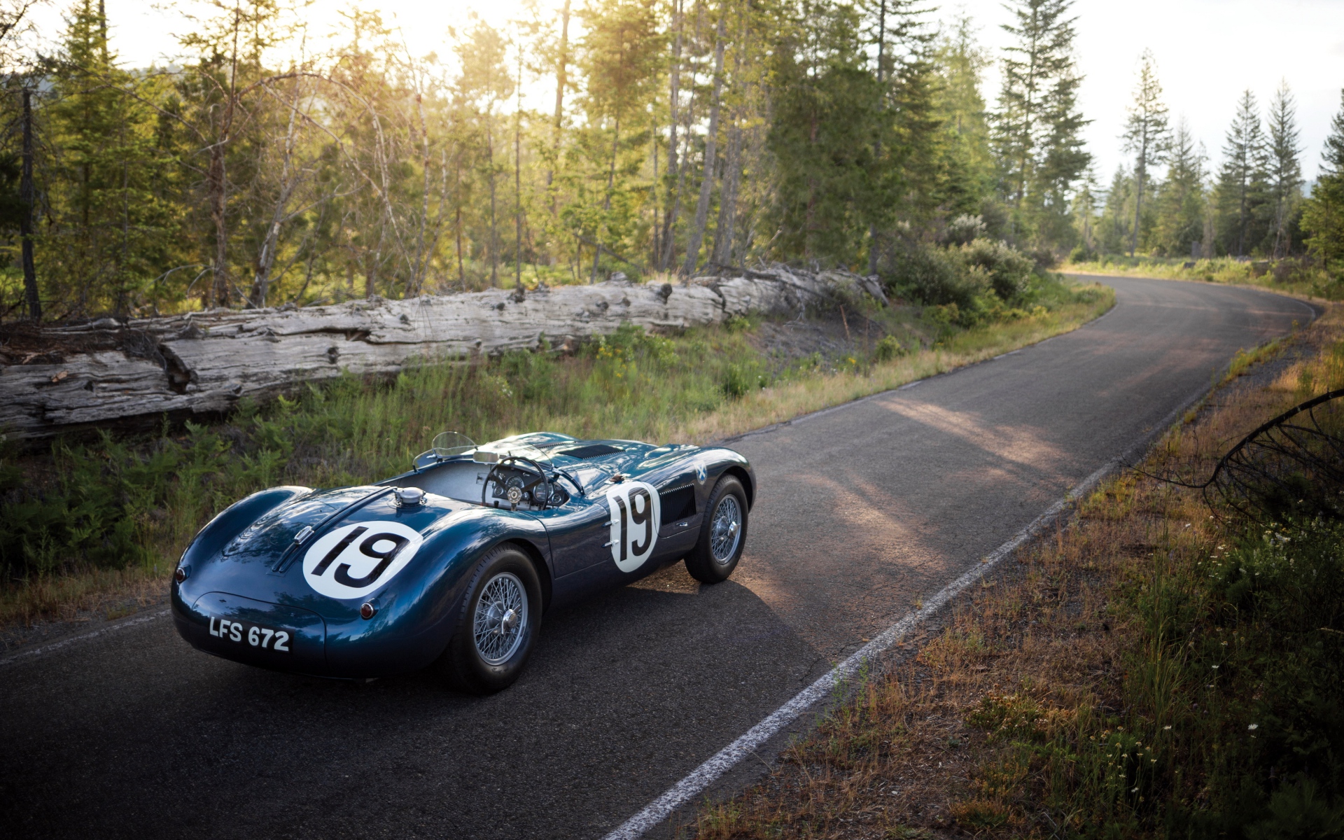 Картинки Jaguar, c-type, 1951, спортивный автомобиль, вид сбоку фото и обои на рабочий стол