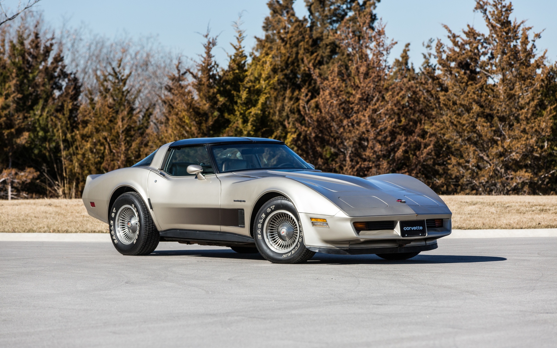Картинки Chevrolet, corvette, 1982, автомобиль, вид сбоку фото и обои на рабочий стол