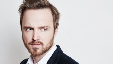 Aaron paul, актер, лицо, борода