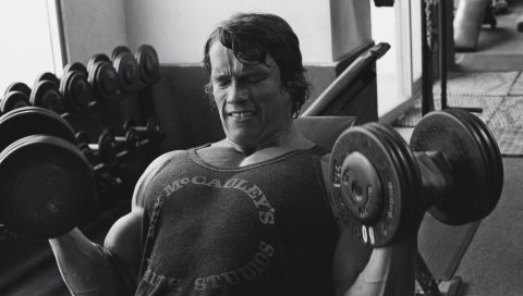 Arnold schwarzenegger, спорт, бодибилдинг, гантели