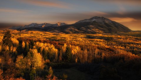 Лес, горы, небо, осень, деревья