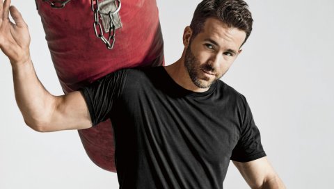 Ryan reynolds, актер, фотосессия, перфоратор