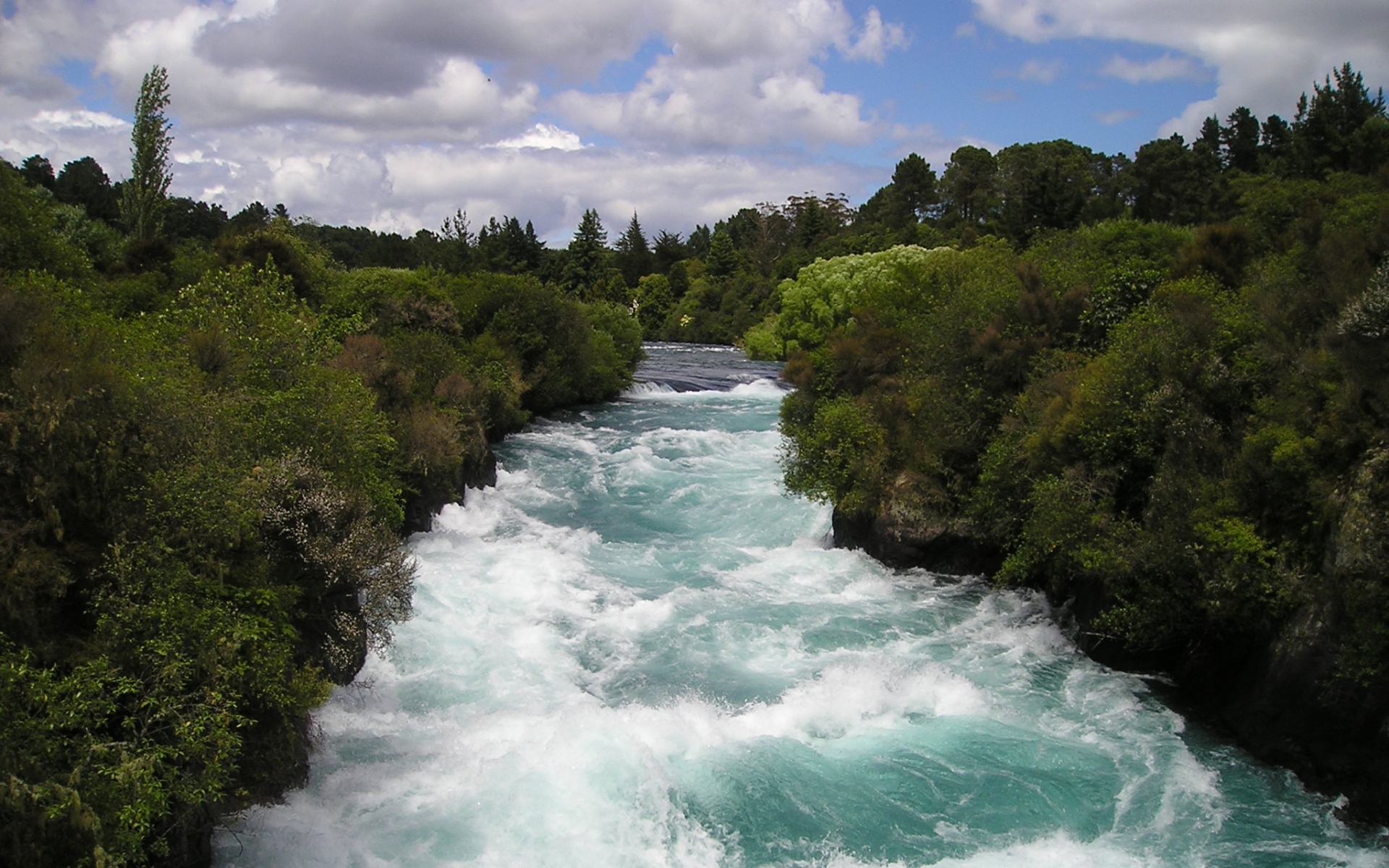 Картинки Новая Зеландия, река, поток, деревья фото и обои на рабочий стол