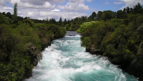 Новая Зеландия, река, поток, деревья