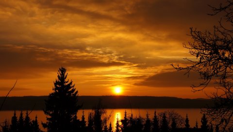 Закат, деревья, небо, река