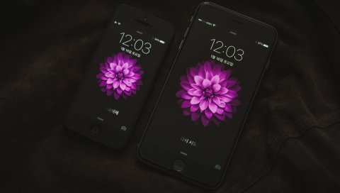 Яблоко, iphone 6, дисплей, сенсорный экран