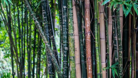 Бамбук, завод, надписи