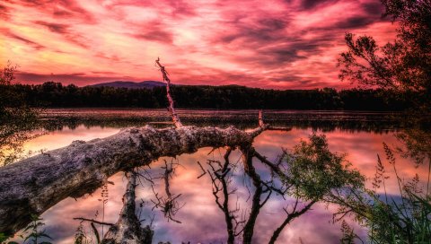 Озеро, закат, деревья, hdr