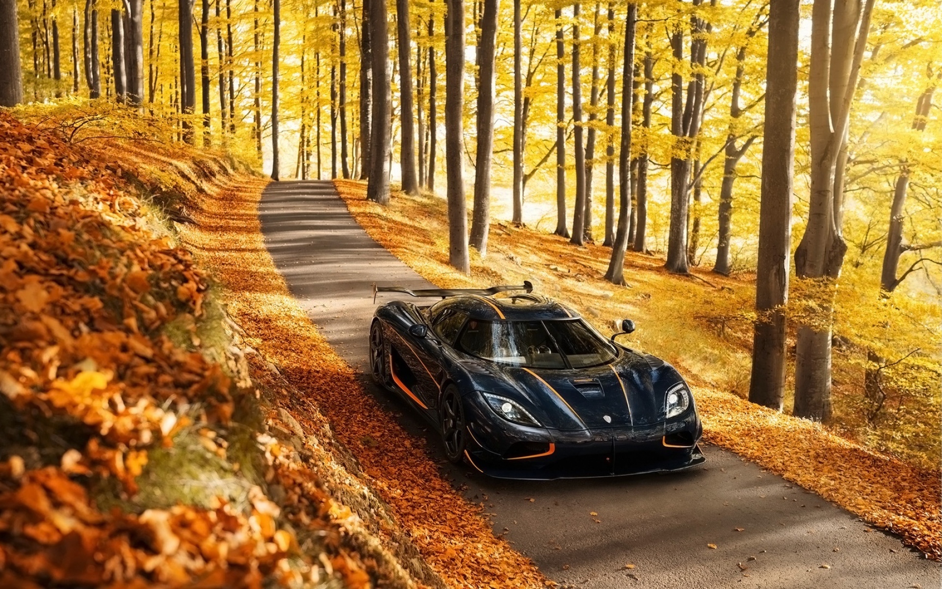 Картинки Koenigsegg, Agera, вид Р.С., сторона, осень, деревья фото и обои на рабочий стол