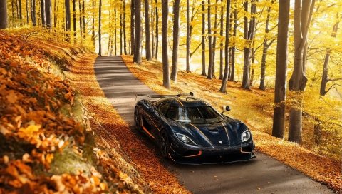 Koenigsegg, Agera, вид Р.С., сторона, осень, деревья