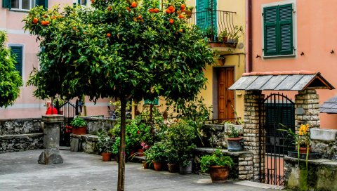 италии, Cinque Terre, здание, улицы