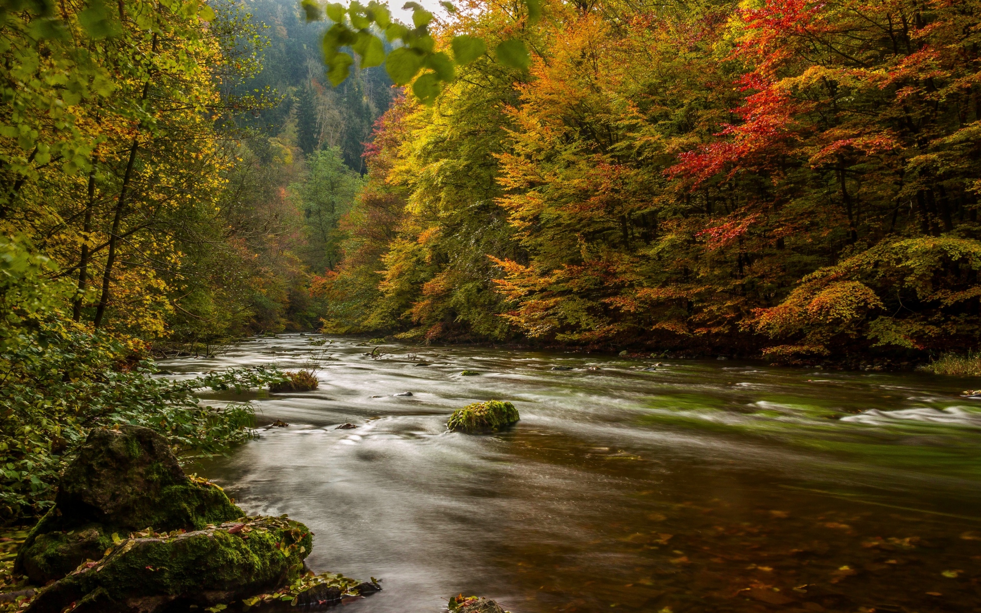 Картинки Harz, германия, осень, река, деревья фото и обои на рабочий стол