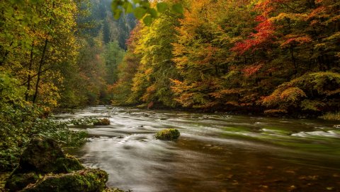 Harz, германия, осень, река, деревья