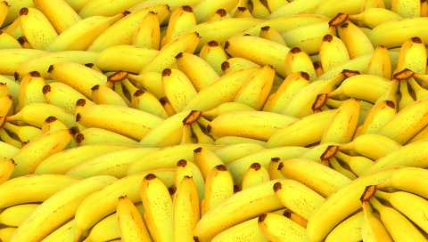 Бананы, фрукты, многие