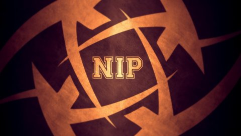 Нип, ниндзя в пижаме, csgo, встречный удар