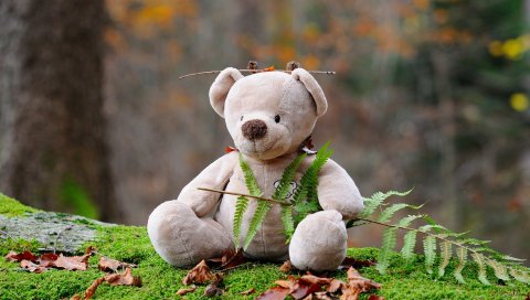 Плюшевый мишка, медведь, игрушка, трава